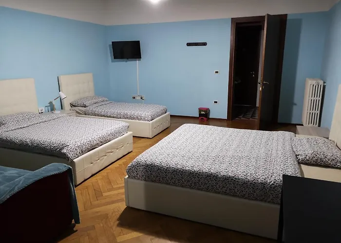 New Life Местре